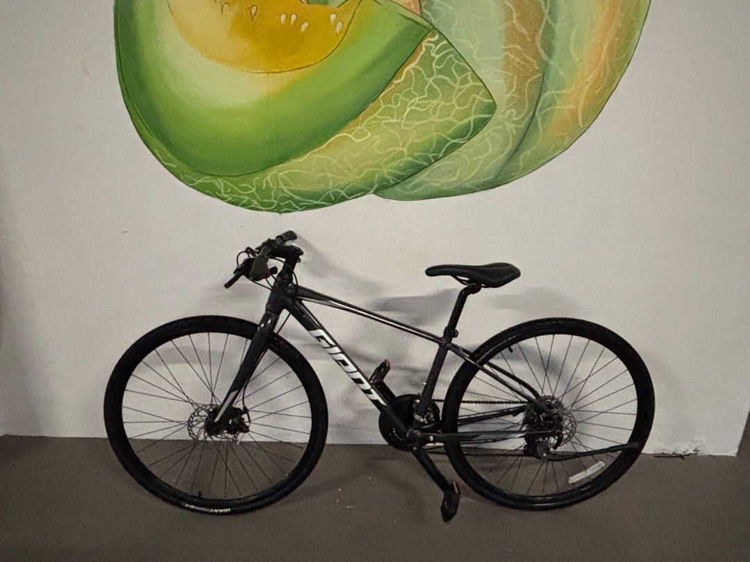 Giant Escape 2 XS
