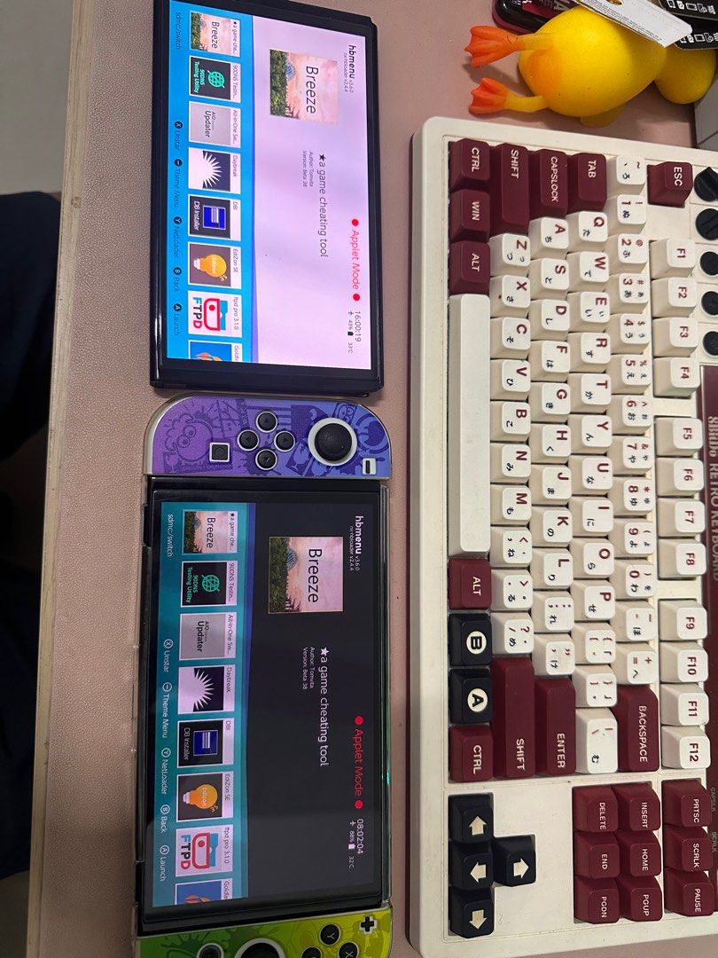 Nintendo switch jailbreak service, Video Gaming, Video Game Consoles, Nintendo on Carousell