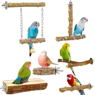 Lovebird toys for sale outlet