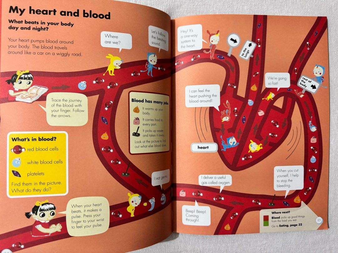 Preloved Okido My Head to Toe Body Book second hand children reference