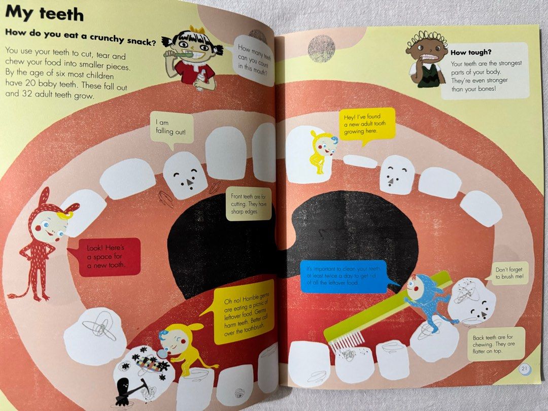 Preloved Okido My Head to Toe Body Book second hand children reference