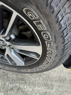 (Category: ) located in . Submitted by raner.kennel (Listing ID 1328097080, Image 1). Description: .