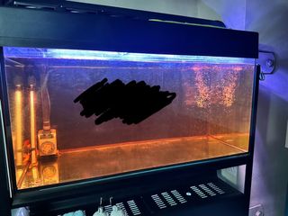 (Category: ) located in . Submitted by jovinteo (Listing ID 1323472239, Image 1). Description: .