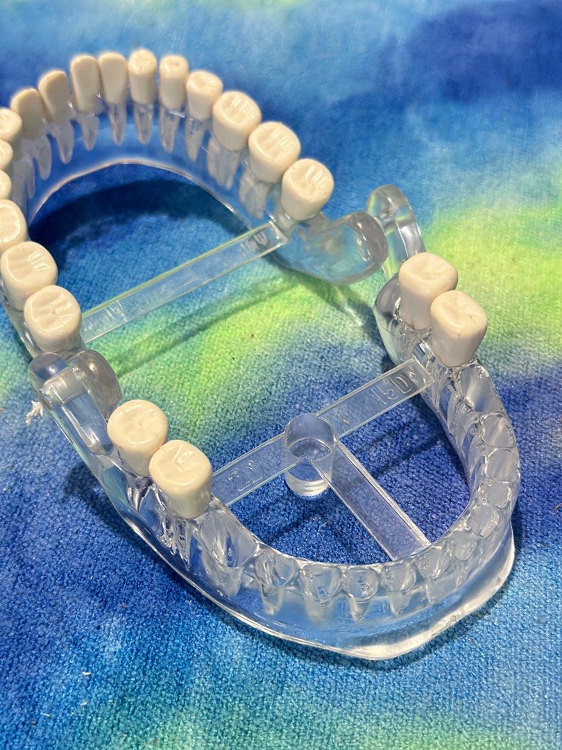 Dental Model Teeth Demonstration (Category: Medical Supplies & Tools) located in General Santos City (Dadiangas). Submitted by toysville888 (Listing ID 1323478849, Image 2). Description: Dental Model Teeth Demonstration sold as is.. incomplete teeth i do combine shipment to save on shipping cost.. 100 lng po sf from here sa mindanao, 5-7days arrival. pay now ship now. gcash 12noon cut off time po.