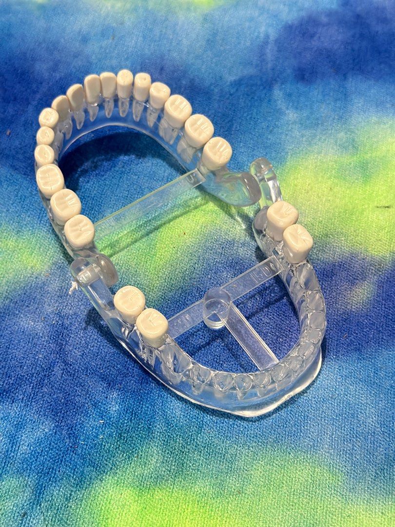 Dental Model Teeth Demonstration (Category: Medical Supplies & Tools) located in General Santos City (Dadiangas). Submitted by toysville888 (Listing ID 1323478849, Image 3). Description: Dental Model Teeth Demonstration sold as is.. incomplete teeth i do combine shipment to save on shipping cost.. 100 lng po sf from here sa mindanao, 5-7days arrival. pay now ship now. gcash 12noon cut off time po.