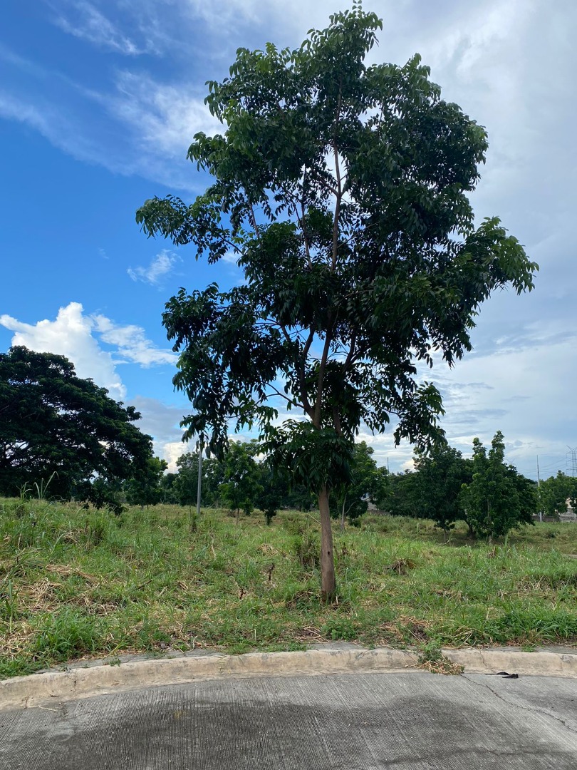 (Category: ) located in . Submitted by everbrightph_09171681688 (Listing ID 1323522408, Image 1). Description: .