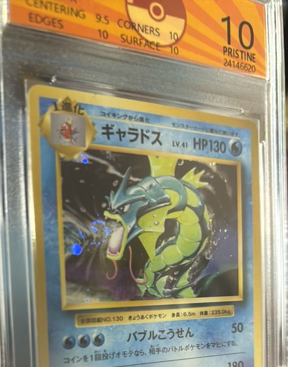 Pokemon cards - OCD 10 Gyarados and Magikarp Holo, Hobbies & Toys, Toys ...