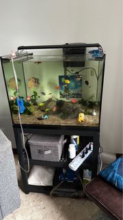 (Category: ) located in . Submitted by paveldavid.fr (Listing ID 1328255413, Image 1). Description: .