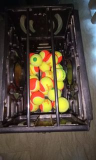 (Category: ) located in . Submitted by silverwind_b97fd8 (Listing ID 1328253927, Image 1). Description: .
