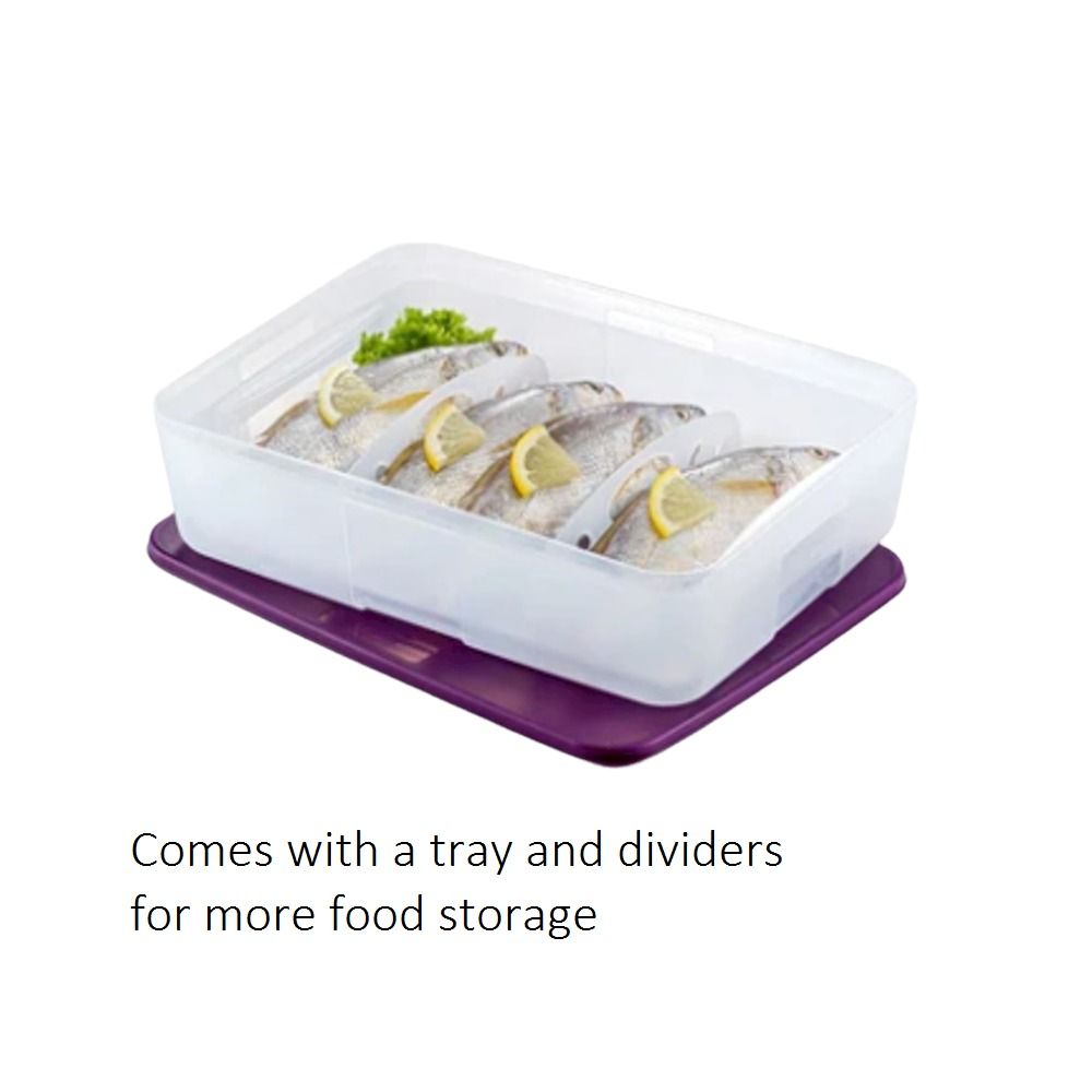 Tupperware FreezerMate Large II (1) 3.1L With Tray, Furniture & Home ...