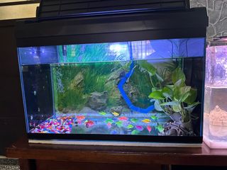 (Category: ) located in . Submitted by danielee0142 (Listing ID 1323683701, Image 1). Description: .