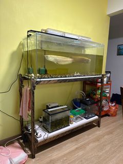 (Category: ) located in . Submitted by m.aidil.r (Listing ID 1323718446, Image 1). Description: .