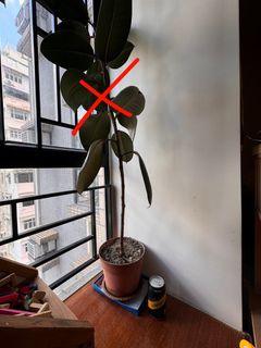 （分類：）位於 。 由 sybean2589 提交（商品編號 1323094068，圖片 1）。簡介： 。