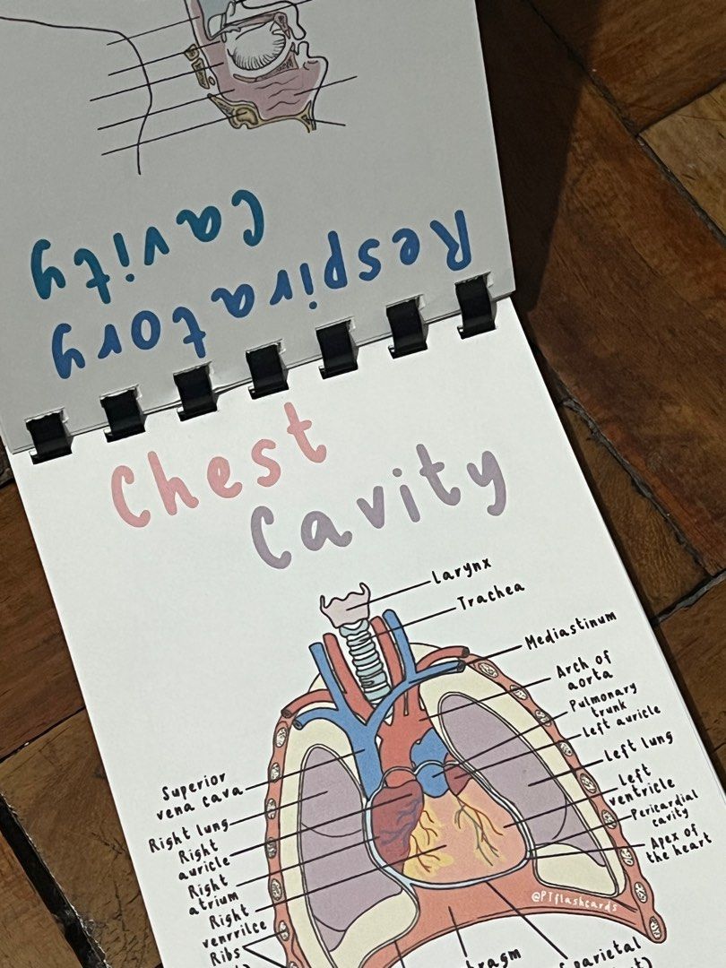 Anatomy Flashcards (Category: Textbooks) located in Quezon City. Submitted by tac0belle__ (Listing ID 1323758244, Image 3). Description: For pre-med/ med students ‼️‼️ used only twice during college MOP: GCASH MOD: Lbc, grab, lalamove loc: QC.