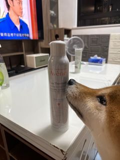 （分類：）位於 。 由 yee1214 提交（商品編號 1323809108，圖片 1）。簡介： 。
