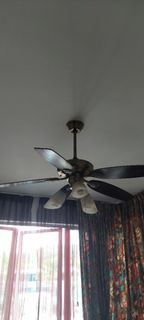 (Category: ) located in . Submitted by abi0404 (Listing ID 1323777653, Image 1). Description: .