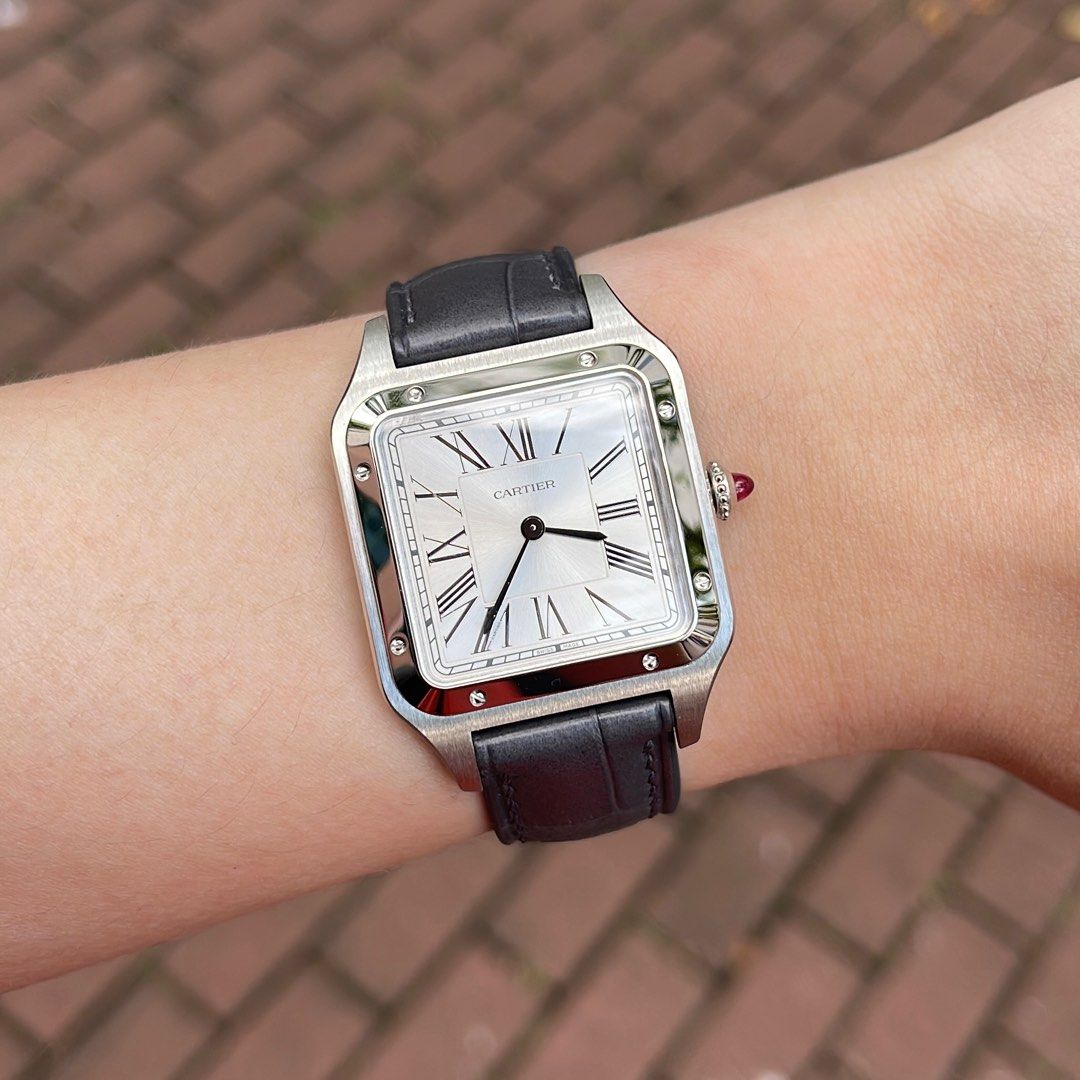 santos dumont santos 100 large