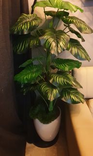 (Category: ) located in . Submitted by william.yang (Listing ID 1323775845, Image 1). Description: .