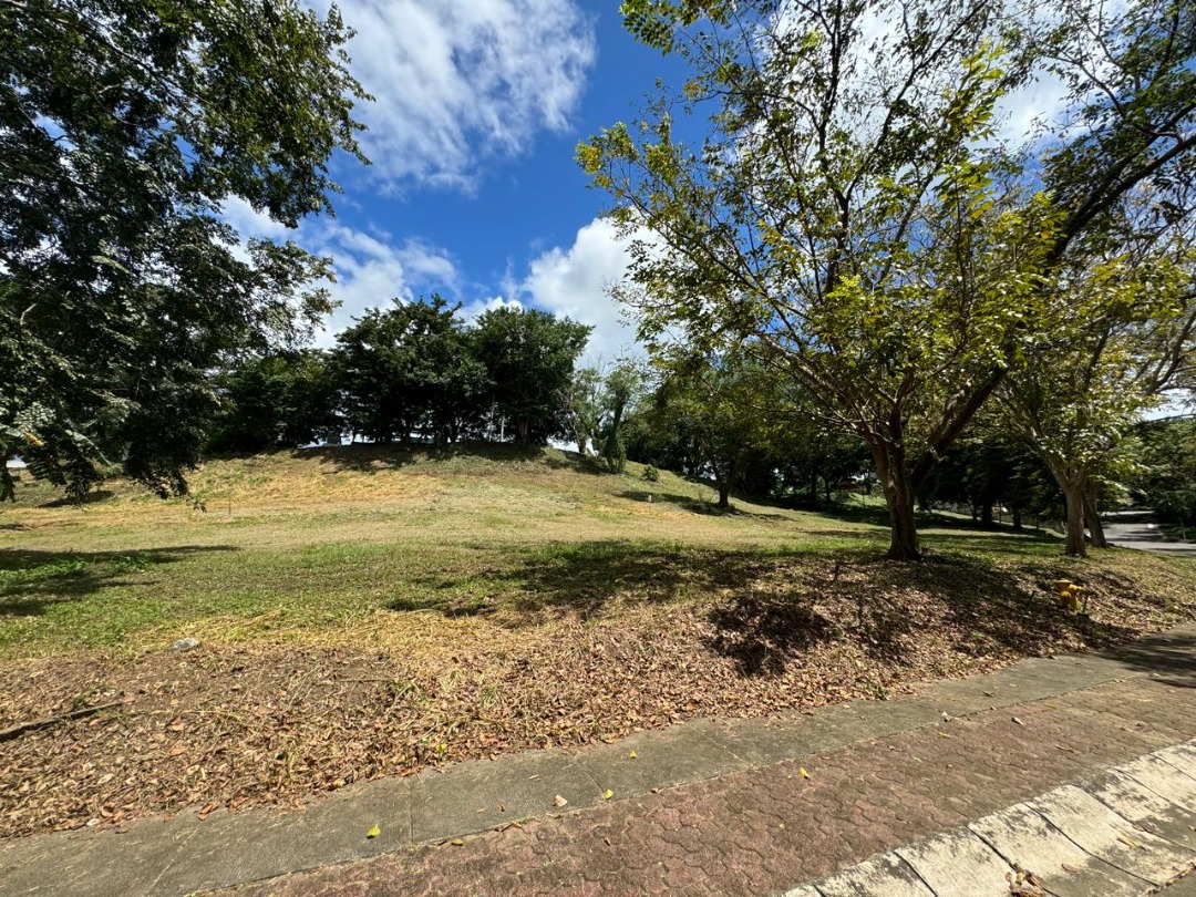 (Category: ) located in . Submitted by vsginez (Listing ID 1323727424, Image 1). Description: .