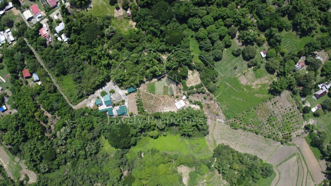 Lush Residential Farm with for SALE at Camiling, Tarlac, Property, For ...