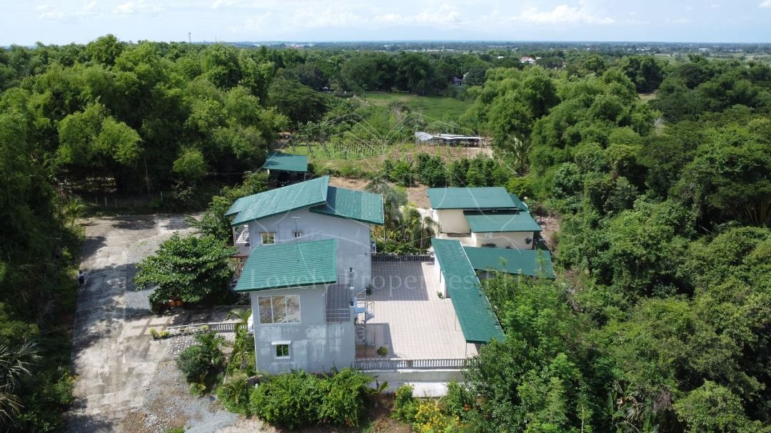 Lush Residential Farm with for SALE at Camiling, Tarlac, Property, For ...