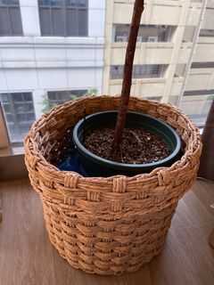 （分類：）位於 。 由 myoncelovedobjects 提交（商品編號 1323649225，圖片 1）。簡介： 。