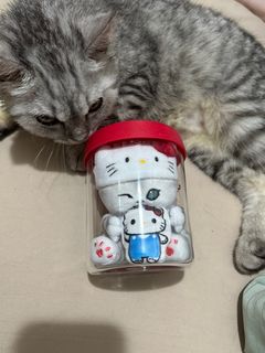 （分類：）位於 。 由 hins11 提交（商品編號 1323950967，圖片 1）。簡介： 。