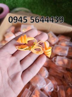 Earplug