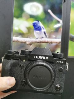 （分類：）位於 。 由 shamwo_114 提交（商品編號 1321870259，圖片 1）。簡介： 。
