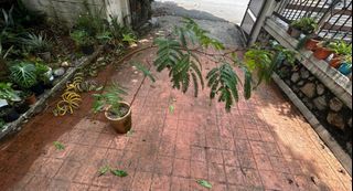 (Category: ) located in . Submitted by sitdownguai (Listing ID 1324002818, Image 1). Description: .