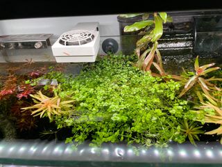 (Category: ) located in . Submitted by ngchans (Listing ID 1323863062, Image 1). Description: .