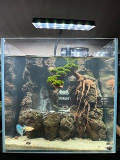 (Category: ) located in . Submitted by bleuzenscape (Listing ID 1323989567, Image 1). Description: .