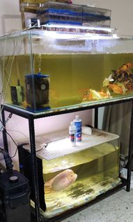 (Category: ) located in . Submitted by linz98 (Listing ID 1324168057, Image 1). Description: .
