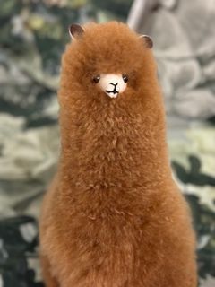 （分類：）位於 。 由 cummerser 提交（商品編號 1324038304，圖片 1）。簡介： 。