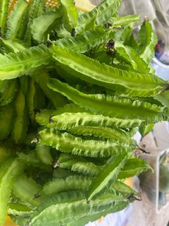 （分類：）位於 。 由 abbalifefarm 提交（商品編號 1324058883，圖片 1）。簡介： 。