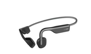 Jaybird Vista IPX7 Waterproof True Wireless Sports Earphones Audio Earphones on Carousell