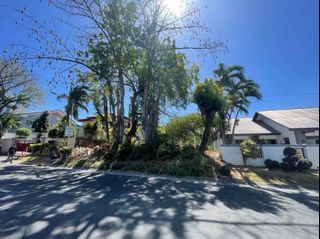 Concha Cruz Residential Commercial Lot For Sale