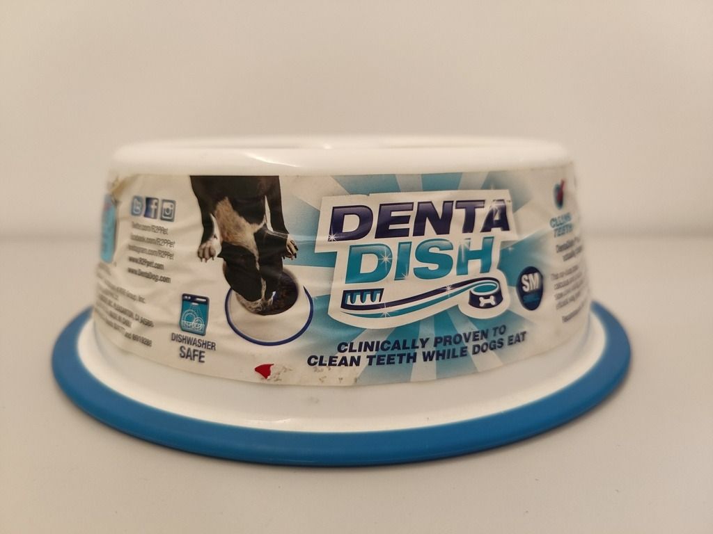 Denta Dish For Dogs Pet Supplies Homes Other Pet Accessories on Carousell