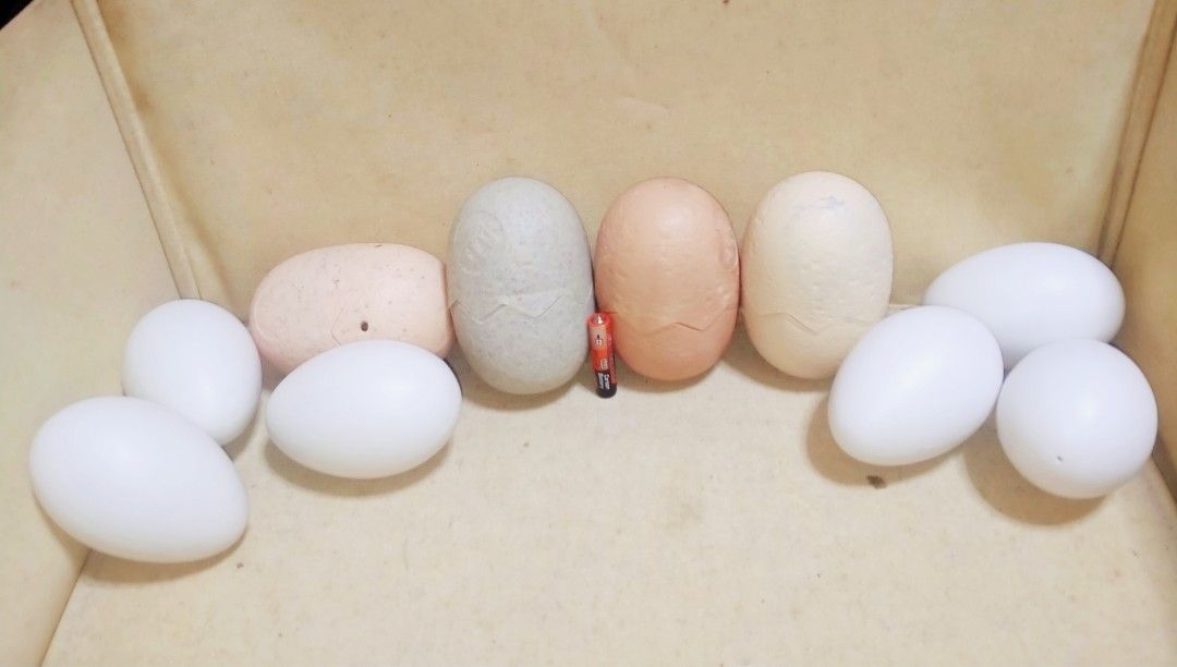 Dinosaur Eggs set sale (Category: Designer & Blind Box Toys) located in Calamba. Submitted by princessbotique (Listing ID 1324128592, Image 3). Description: Dinosaur Eggs set sale 4 Mcdo eggs with figure 6 pcs sealed eggs Take all sale only Only Php 1000 Please add shipping fee From Los Banos Laguna Meetups per arrangement MOP GCash first to pay basis Pm if interested Please Like and Follow.