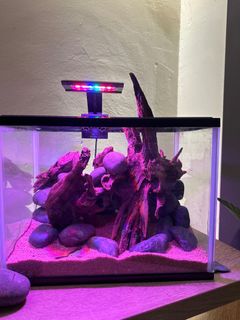 (Category: ) located in . Submitted by eszy (Listing ID 1324130973, Image 1). Description: .