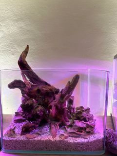 (Category: ) located in . Submitted by eszy (Listing ID 1324131266, Image 1). Description: .