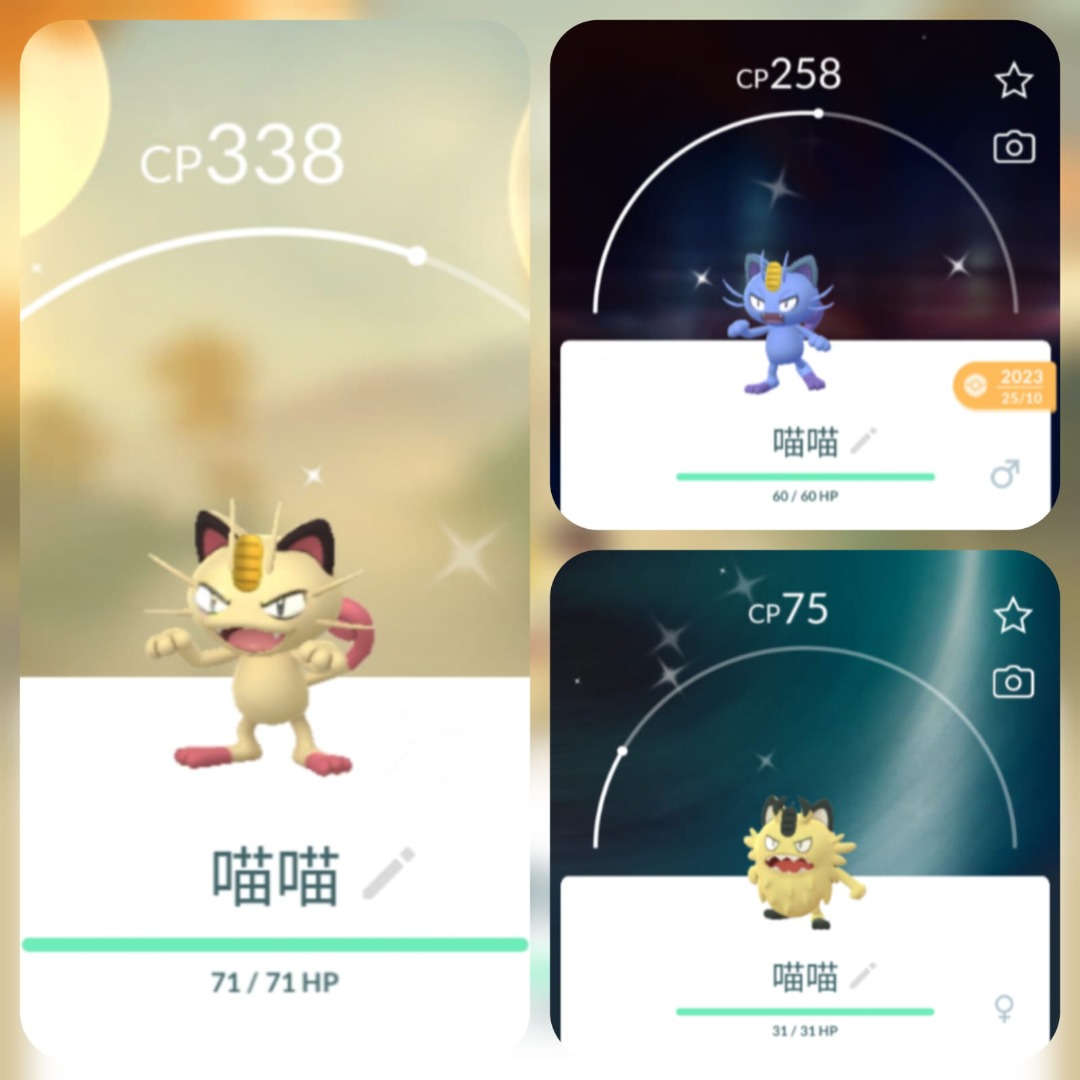 Pokemon GO 喵喵怪喵喵Meowth 高竇貓貓老大Persian 喵頭目Perrserker