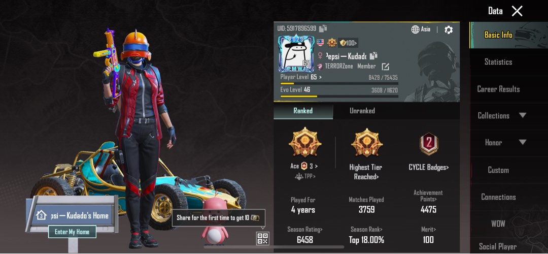 PUBG ACC FOR SALE, Video Gaming, Video Games, Others on Carousell