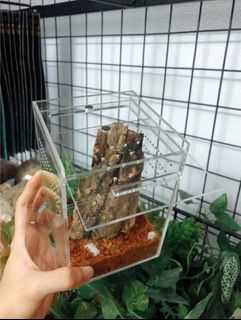 (Category: ) located in . Submitted by charmves (Listing ID 1324053984, Image 1). Description: .