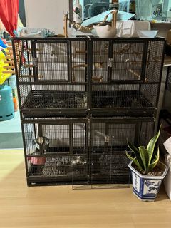 (Category: ) located in . Submitted by _cmxine_ (Listing ID 1324305352, Image 1). Description: .