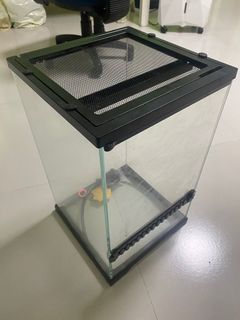 （分類：）位於 。 由 draculaaaa 提交（商品編號 1324248870，圖片 1）。簡介： 。