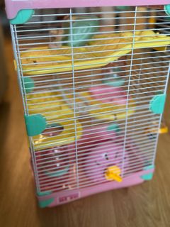 （分類：）位於 。 由 siusuyiwong 提交（商品編號 1324278709，圖片 1）。簡介： 。