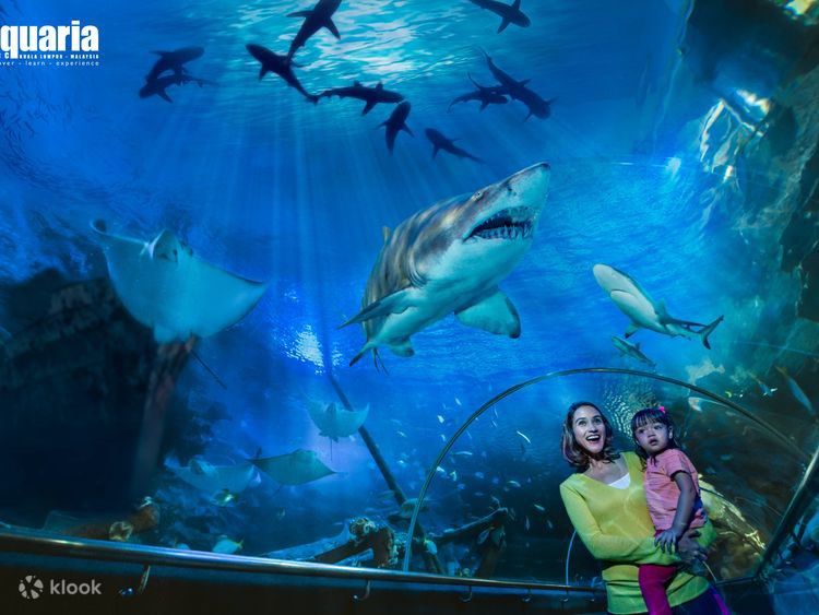 Aquaria KLCC Child / Children 2 Tickets, Tickets & Vouchers, Local