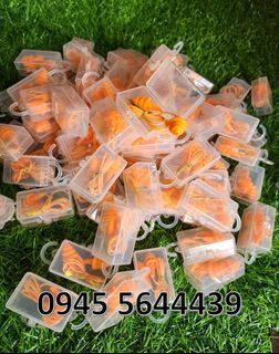 Earplug