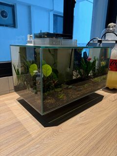 (Category: ) located in . Submitted by fiqo71 (Listing ID 1324269157, Image 1). Description: .